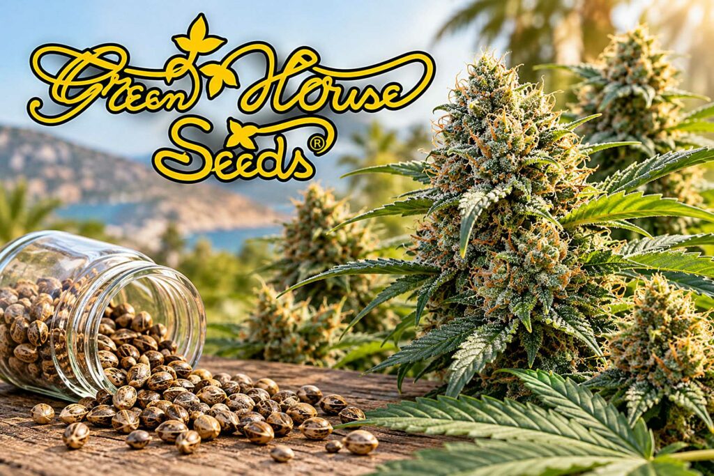 Green house seeds legendarne nasiona marihuany